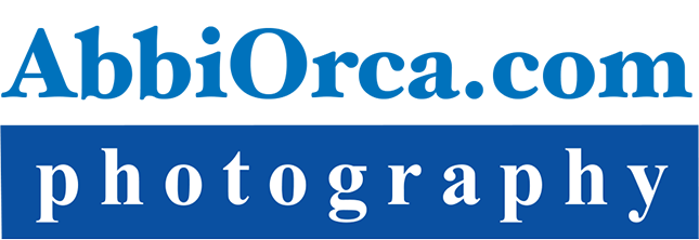 AbbiOrca Photography