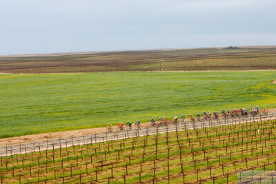 Pro 1 Men's field on last lap. The wind and pace has dwindled down the size of the pack.